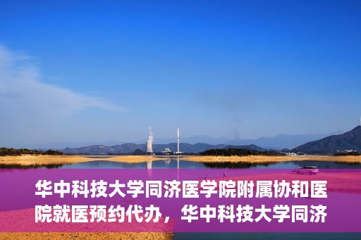 华中科技大学同济医学院附属协和医院就医预约代办，华中科技大学同济医学院附属协和医院就医预约代办服务详解