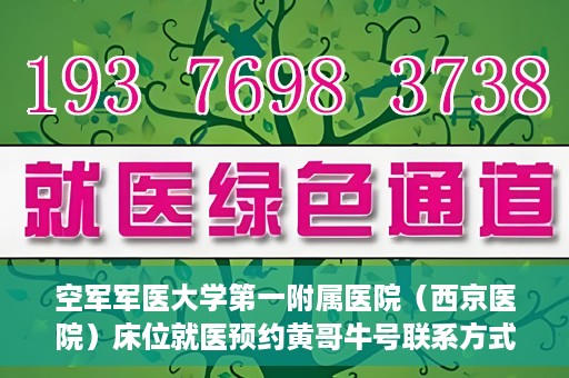 空军军医大学第一附属医院（西京医院）床位就医预约黄哥牛号联系方式，空军军医大学第一附属医院（西京医院）床位预约信息及联系方式解析