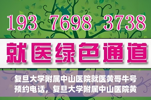 复旦大学附属中山医院就医黄哥牛号预约电话，复旦大学附属中山医院黄哥牛号预约电话详解，就医挂号新攻略