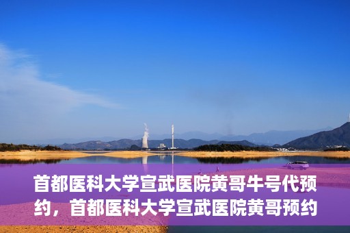 首都医科大学宣武医院黄哥牛号代预约，首都医科大学宣武医院黄哥预约代挂号服务解析