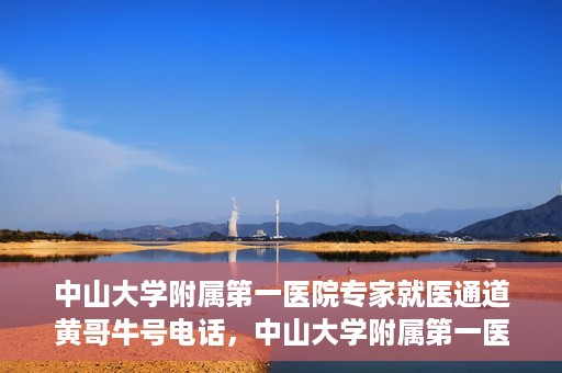 中山大学附属第一医院专家就医通道黄哥牛号电话，中山大学附属第一医院专家就医通道热线，黄哥牛号电话解读与预约攻略