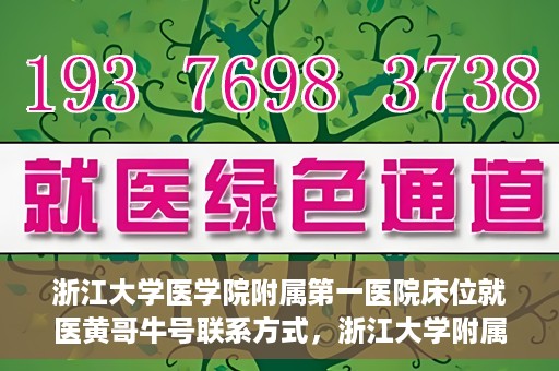 浙江大学医学院附属第一医院床位就医黄哥牛号联系方式，浙江大学附属第一医院床位就医指南，黄哥牛号联系方式揭秘