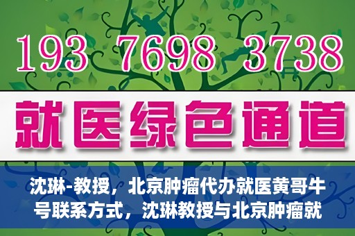 沈琳-教授，北京肿瘤代办就医黄哥牛号联系方式，沈琳教授与北京肿瘤就医黄哥牛号，联系方式揭秘