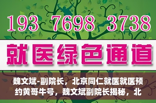 魏文斌-副院长，北京同仁就医就医预约黄哥牛号，魏文斌副院长揭秘，北京同仁医院就医预约的黄哥牛号攻略