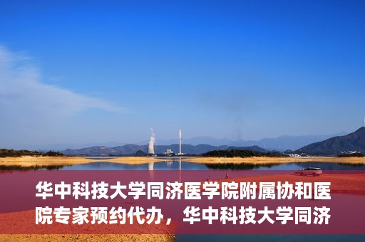 华中科技大学同济医学院附属协和医院专家预约代办，华中科技大学同济医学院附属协和医院专家预约代办服务指南