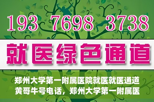 郑州大学第一附属医院就医就医通道黄哥牛号电话，郑州大学第一附属医院就医通道解析，黄哥牛号电话全解析