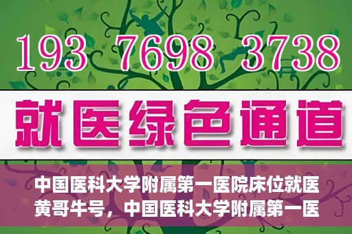 中国医科大学附属第一医院床位就医黄哥牛号，中国医科大学附属第一医院床位就医攻略，黄哥牛号助您轻松挂号就医
