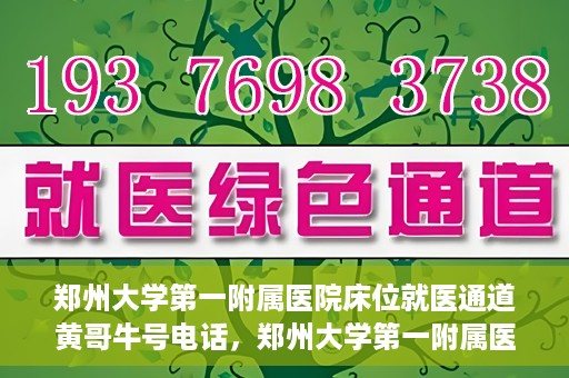 郑州大学第一附属医院床位就医通道黄哥牛号电话，郑州大学第一附属医院床位就医通道，黄哥牛号电话背后的就医故事探索