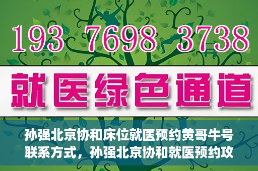 孙强北京协和床位就医预约黄哥牛号联系方式，孙强北京协和就医预约攻略，床位预约、联系方式全解析