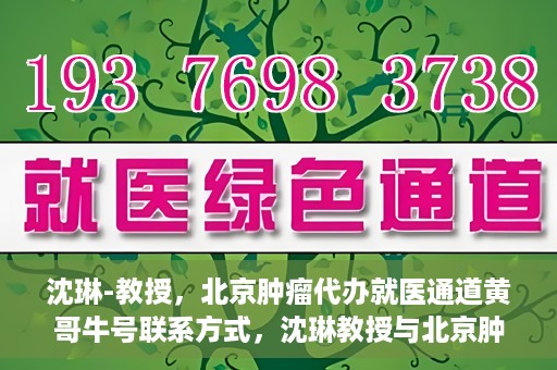 沈琳-教授，北京肿瘤代办就医通道黄哥牛号联系方式，沈琳教授与北京肿瘤就医通道，黄哥牛号联系方式揭秘