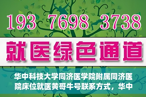 华中科技大学同济医学院附属同济医院床位就医黄哥牛号联系方式，华中科技大学同济医院床位就医信息及黄哥牛号联系方式揭秘