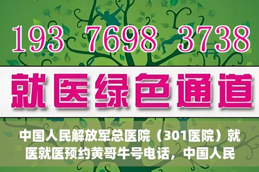 中国人民解放军总医院（301医院）就医就医预约黄哥牛号电话，中国人民解放军总医院（301医院）黄哥就医预约热线电话全攻略