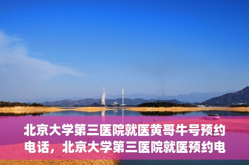 北京大学第三医院就医黄哥牛号预约电话，北京大学第三医院就医预约电话及黄哥牛号预约攻略