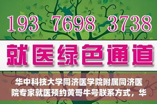 华中科技大学同济医学院附属同济医院专家就医预约黄哥牛号联系方式，华中科技大学同济医院专家预约挂号指南，黄哥牛号联系方式全解析