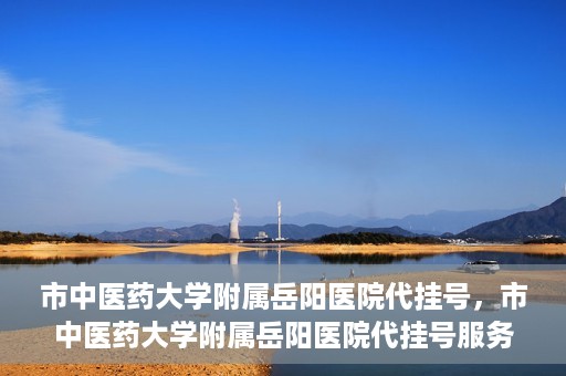 市中医药大学附属岳阳医院代挂号，市中医药大学附属岳阳医院代挂号服务解析