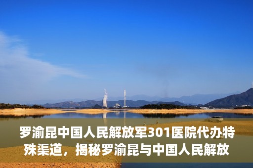 罗渝昆中国人民解放军301医院代办特殊渠道，揭秘罗渝昆与中国人民解放军301医院特殊渠道代办内幕