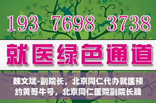 魏文斌-副院长，北京同仁代办就医预约黄哥牛号，北京同仁医院副院长魏文斌揭秘，黄哥牛号助您轻松预约就医新攻略