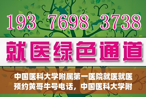 中国医科大学附属第一医院就医就医预约黄哥牛号电话，中国医科大学附属第一医院就医预约电话揭秘，黄哥牛号预约专线亮相