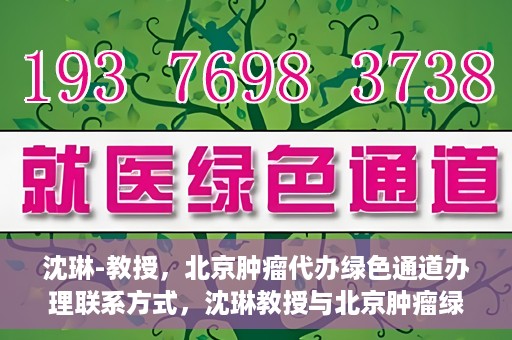 沈琳-教授，北京肿瘤代办绿色通道办理联系方式，沈琳教授与北京肿瘤绿色通道，便捷办理联系方式揭秘
