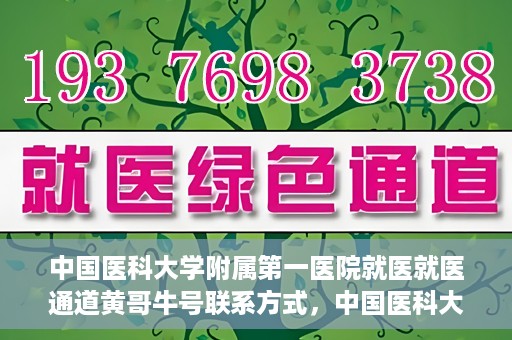 中国医科大学附属第一医院就医就医通道黄哥牛号联系方式，中国医科大学附属第一医院就医通道，黄哥牛号联系方式全解析
