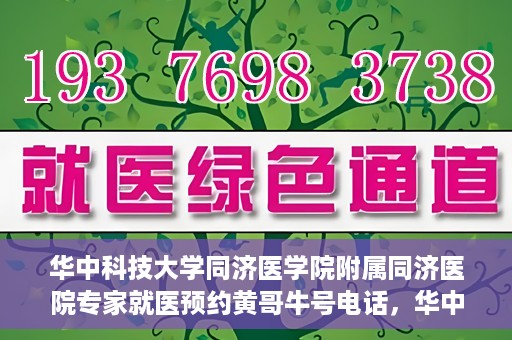 华中科技大学同济医学院附属同济医院专家就医预约黄哥牛号电话，华中科技大学同济医院专家黄哥牛号预约电话与就医指南