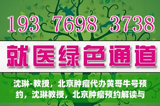 沈琳-教授，北京肿瘤代办黄哥牛号预约，沈琳教授，北京肿瘤预约解读与黄哥牛号背后的故事