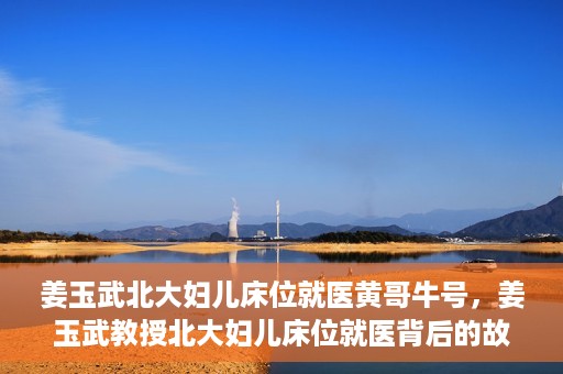 姜玉武北大妇儿床位就医黄哥牛号，姜玉武教授北大妇儿床位就医背后的故事，黄哥牛号揭秘就医经历
