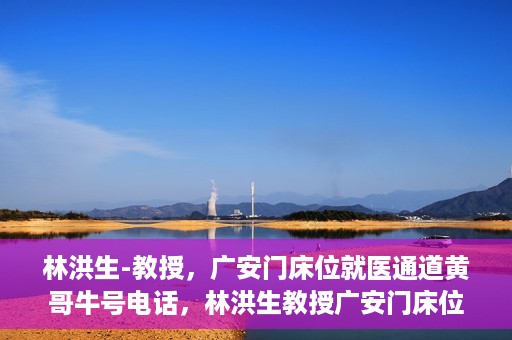 林洪生-教授，广安门床位就医通道黄哥牛号电话，林洪生教授广安门床位就医通道权威解读，黄哥牛号电话背后的故事