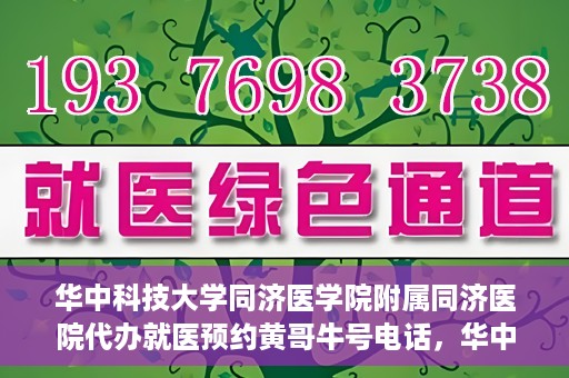 华中科技大学同济医学院附属同济医院代办就医预约黄哥牛号电话，华中科技大学同济医院预约就医黄哥牛号电话代办服务介绍