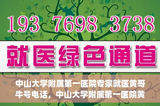 中山大学附属第一医院专家就医黄哥牛号电话，中山大学附属第一医院黄哥牛号专家就医电话揭秘