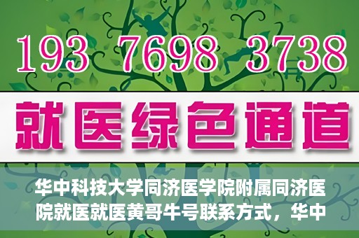 华中科技大学同济医学院附属同济医院就医就医黄哥牛号联系方式，华中科技大学同济医院就医指南，黄哥牛号联系方式揭秘