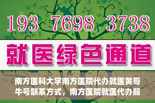 南方医科大学南方医院代办就医黄哥牛号联系方式，南方医院就医代办服务联系指南，黄哥牛号联系方式揭秘