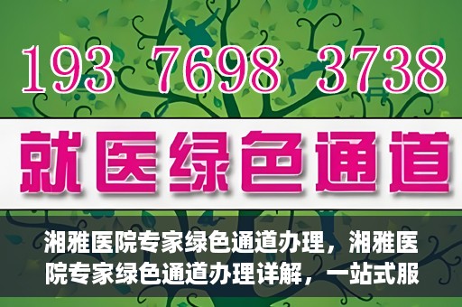 湘雅医院专家绿色通道办理，湘雅医院专家绿色通道办理详解，一站式服务助力高效就医体验