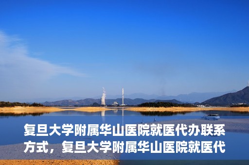 复旦大学附属华山医院就医代办联系方式，复旦大学附属华山医院就医代办服务指南与联系方式解析