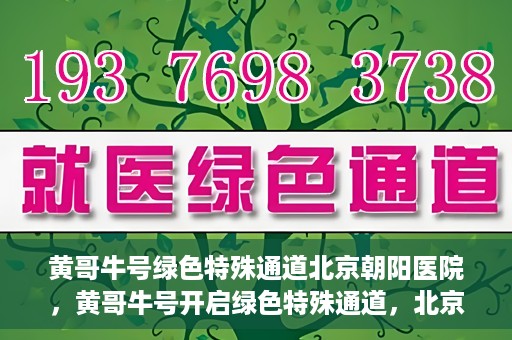 黄哥牛号绿色特殊通道北京朝阳医院，黄哥牛号开启绿色特殊通道，北京朝阳医院助力健康之路
