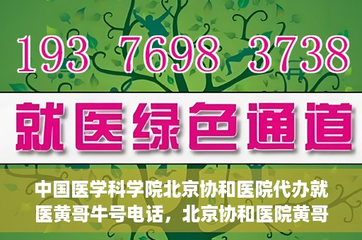 中国医学科学院北京协和医院代办就医黄哥牛号电话，北京协和医院黄哥就医代办服务，专业协助预约挂号，快速就医通道揭秘