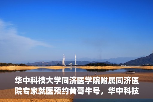 华中科技大学同济医学院附属同济医院专家就医预约黄哥牛号，华中科技大学同济医院专家黄哥牛号预约就医指南