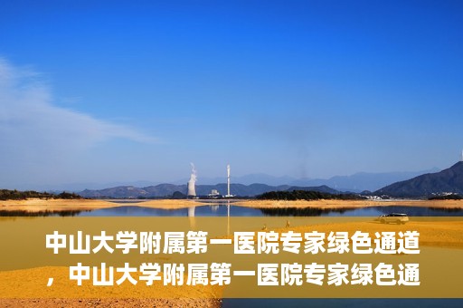 中山大学附属第一医院专家绿色通道，中山大学附属第一医院专家绿色通道，一站式健康服务体验新篇章