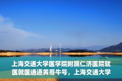 上海交通大学医学院附属仁济医院就医就医通道黄哥牛号，上海交通大学医学院附属仁济医院就医通道，黄哥牛号助您轻松就医体验之旅