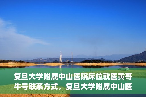 复旦大学附属中山医院床位就医黄哥牛号联系方式，复旦大学附属中山医院床位就医攻略，黄哥牛号联系方式揭秘