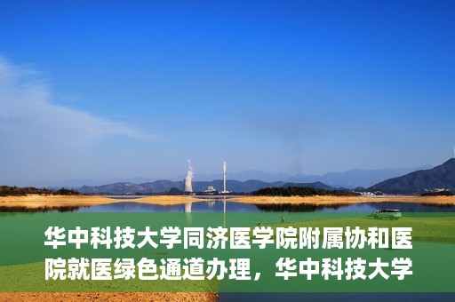 华中科技大学同济医学院附属协和医院就医绿色通道办理，华中科技大学同济医学院附属协和医院就医绿色通道详解与办理指南