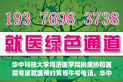 华中科技大学同济医学院附属协和医院专家就医预约黄哥牛号电话，华中科技大学同济医学院附属协和医院专家预约挂号攻略，黄哥牛号电话就医预约指南
