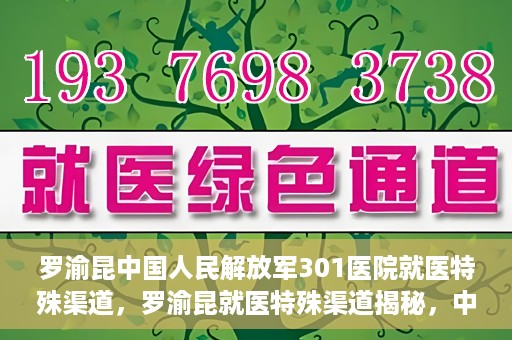 罗渝昆中国人民解放军301医院就医特殊渠道，罗渝昆就医特殊渠道揭秘，中国人民解放军301医院的医疗力量与特殊渠道就医体验