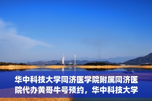 华中科技大学同济医学院附属同济医院代办黄哥牛号预约，华中科技大学同济医院黄哥牛号预约代办服务解析