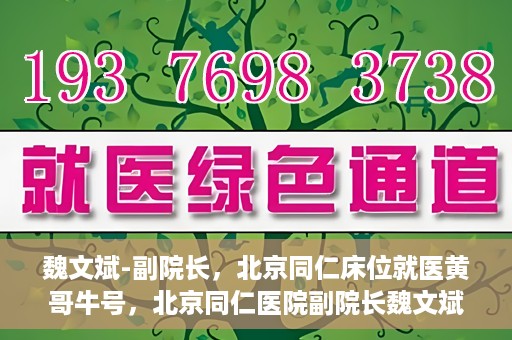 魏文斌-副院长，北京同仁床位就医黄哥牛号，北京同仁医院副院长魏文斌揭秘床位就医黄哥牛号背后的故事
