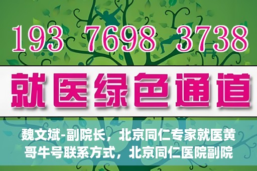 魏文斌-副院长，北京同仁专家就医黄哥牛号联系方式，北京同仁医院副院长魏文斌，黄哥牛号就医联系指南与专家联系方式揭秘