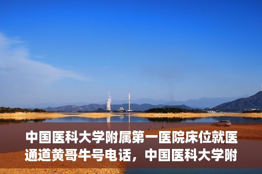 中国医科大学附属第一医院床位就医通道黄哥牛号电话，中国医科大学附属第一医院床位就医通道，黄哥牛号电话预约攻略