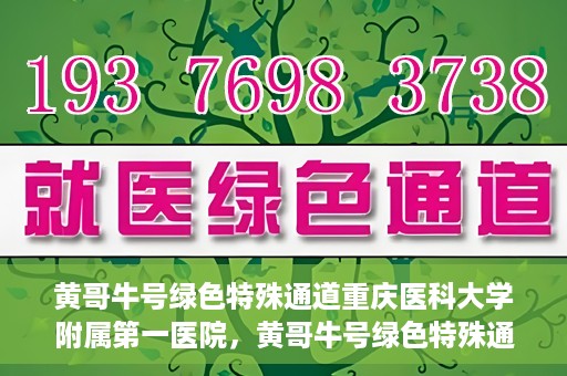 黄哥牛号绿色特殊通道重庆医科大学附属第一医院，黄哥牛号绿色特殊通道，重庆医科大学附属第一医院实践探索