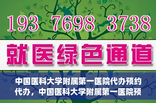 中国医科大学附属第一医院代办预约代办，中国医科大学附属第一医院预约代办服务详解