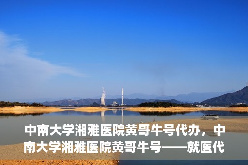 中南大学湘雅医院黄哥牛号代办，中南大学湘雅医院黄哥牛号——就医代办服务详解
